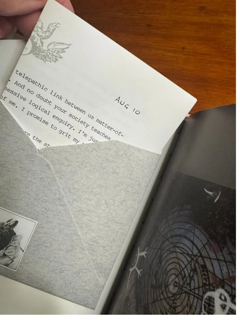 Griffin & Sabine Nick Bantock Hardcover 1991 | Extraordinary Correspondence